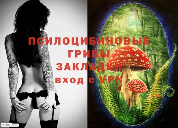 гидропоника Гвардейск