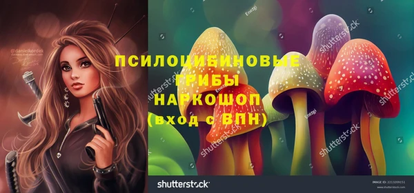 гидропоника Гвардейск