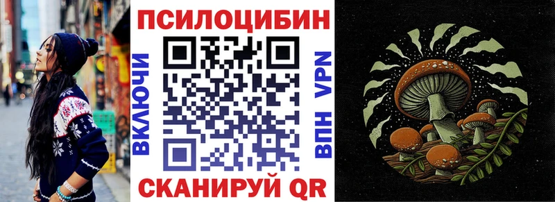 MEGA вход  Беломорск  Галлюциногенные грибы Psilocybe 